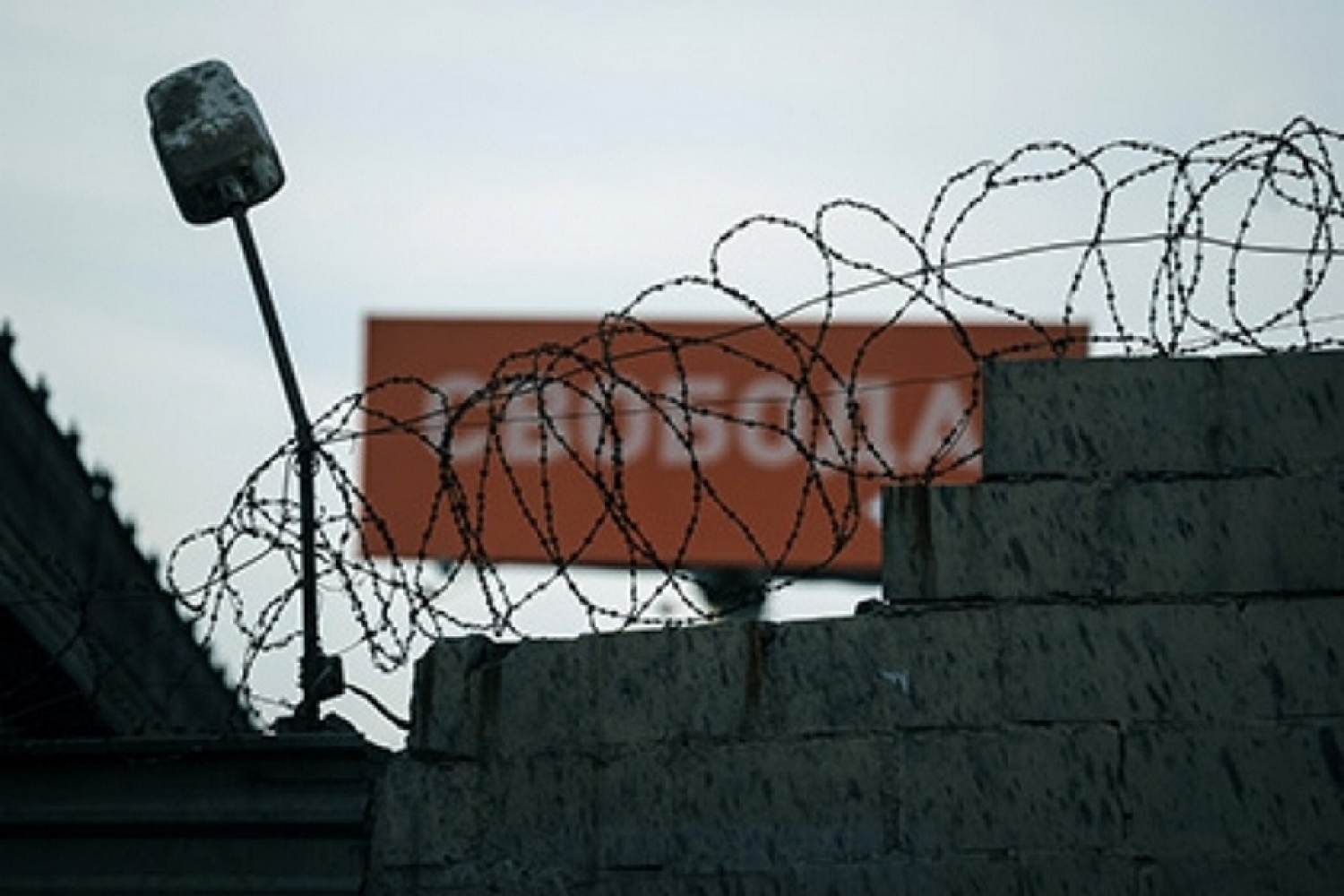 Поможем освободиться по УДО Поможем освободиться по УДО
