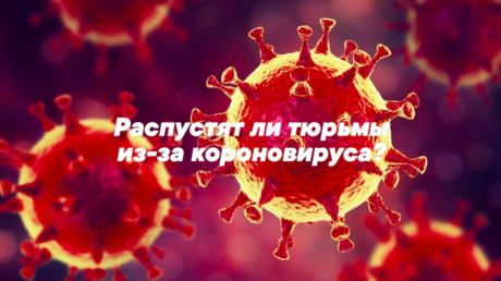 Распустят ли тюрьмы из-за короновируса?